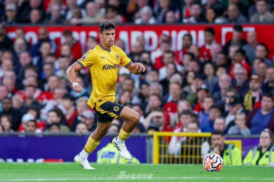 复仇韩国 复仇韩国