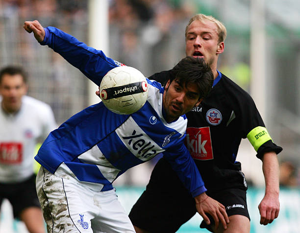 不仅展示了 不仅展示了